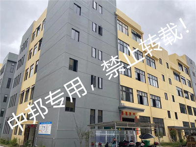 浙江XX工藝品2021年11月順利通過BSCI驗廠，開啟工藝美術品銷售新篇章